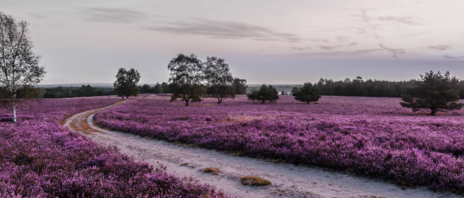 Naturcamping Lüneburger Heide