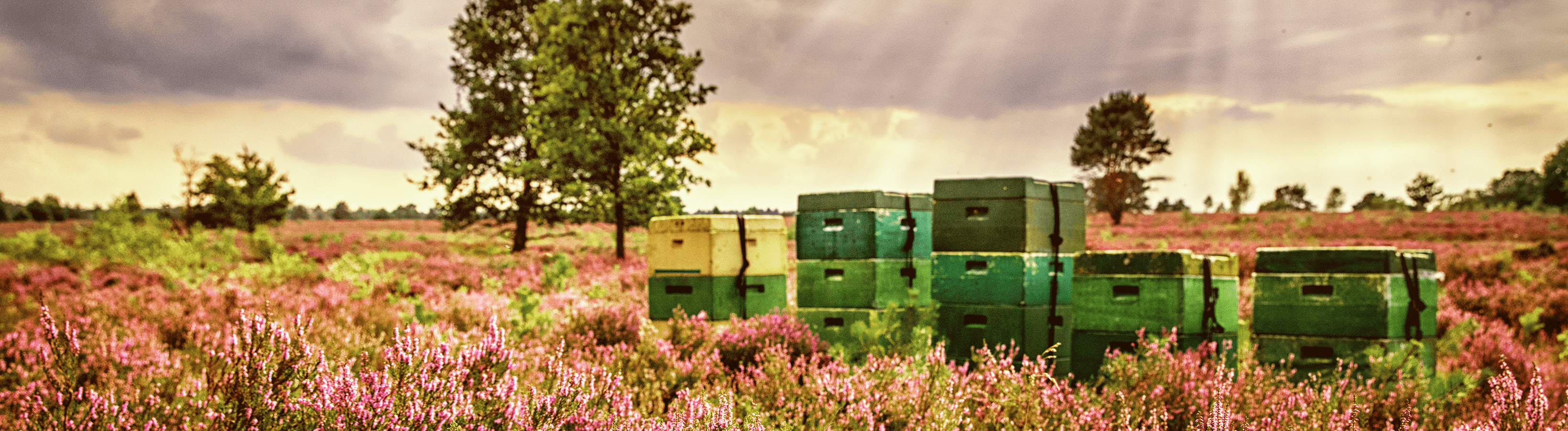 Naturcamping Lüneburger Heide - 24/7 Einkaufen Naturcamping Lüneburger Heide - 24/7 Einkaufen